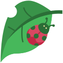 naturaleza icon