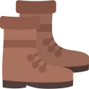 zapato icon