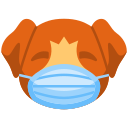 perro icon