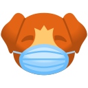 perro icon