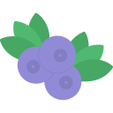 fruta icon