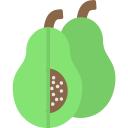 fruta icon