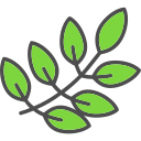 nature icon