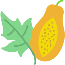 fruta icon