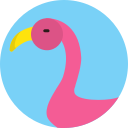 animal 