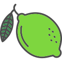 fruta icon