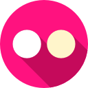 flickr icon