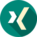 xing icon