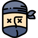 ninja icon