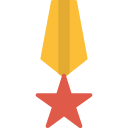 estrella icon