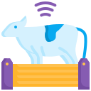 animal icon