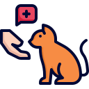 gato icon