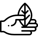 Трава 