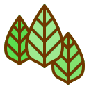 naturaleza icon