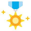 estrella icon