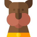 perro icon