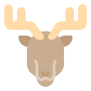 animal icon