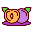 fruta icon