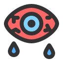 ojo icon