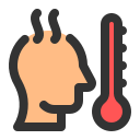 temperatura icon