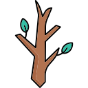 naturaleza icon