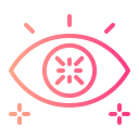 ojo icon