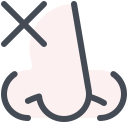 Nose 