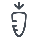 möhren 