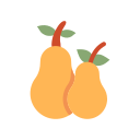 fruta icon