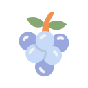 fruta icon