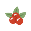 fruta icon