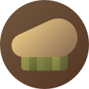 boina icon