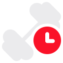 reloj icon