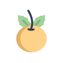 fruta icon