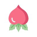 fruta icon