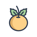 fruta icon