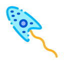 bacterias icon