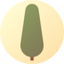 Árbol icon