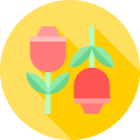 rosa icon