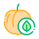 fruta icon