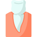 pré-molar 