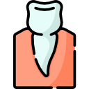 pré-molar 