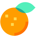 fruit 