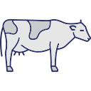 animal icon