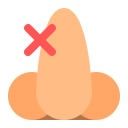 Nose 