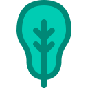 naturaleza icon