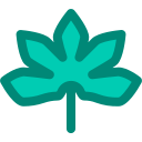 naturaleza icon