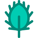 naturaleza icon