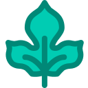 naturaleza icon