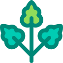 naturaleza icon